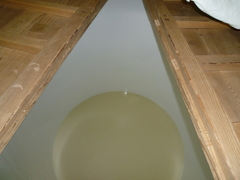 20101026 002.jpg